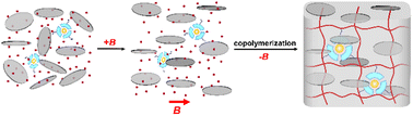 Graphical abstract: Hydrogels with both mechanical strength and luminescence anisotropy