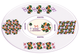 Graphical abstract: Synergic coordination of multicomponents for the formation of a {Ni30} cluster substituted polyoxometalate and its in situ assembly