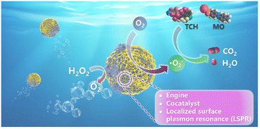 Graphical abstract: Bubble-propelled plasmon-reinforced Pt-ZnIn2S4 micromotors for stirring-free photocatalytic water purification