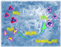 Graphical abstract: Ce-doped MoS2−x nanoflower arrays for electrocatalytic nitrate reduction to ammonia