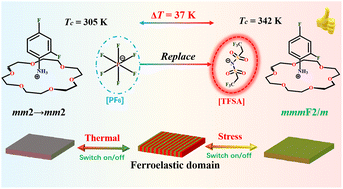 Graphical abstract: Dual-channel control of ferroelastic domains in a host–guest inclusion compound