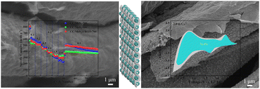 Graphical abstract: Cotton textile inspires MoS2@reduced graphene oxide anodes towards high-rate capability or long-cycle stability sodium/lithium-ion batteries