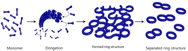 Graphical abstract: Supramolecular architectures based on binuclear Pt(ii) complexes consisting of different ligands and circular and helical fiber structures