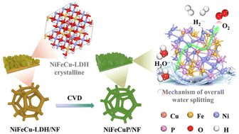 Graphical abstract: NiFeCu phosphides with surface reconstruction via the topotactic transformation of layered double hydroxides for overall water splitting