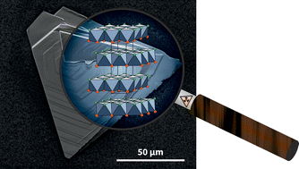 Graphical abstract: Crystal growth of the 2D Janus rhodium chalcohalide RhSeCl