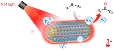 Graphical abstract: Near-infrared photothermal conversion of polyoxometalate-modified gold nanorods for plasmon-enhanced catalysis