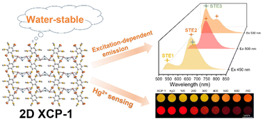 Graphical abstract: Water-stable halide coordination polymers with dual self-trapped exciton emissions for dual-mode Hg2+ sensing