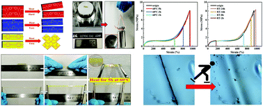 Graphical abstract: Rapid self-healing and tough polyurethane based on the synergy of multi-level hydrogen and disulfide bonds for healing propellant microcracks