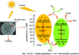 Graphical abstract: Removal of nitrogenous heterocycles by a CoMoS3/NH2-MIL-53(Fe)-catalyzed photo-Fenton-like process: effect, mechanism and toxicity evaluation