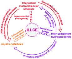 Graphical abstract: Enhancement of intrinsic thermal conductivity of liquid crystalline epoxy through the strategy of interlocked polymer networks