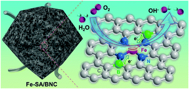 Graphical abstract: Manipulating the electronic configuration of Fe–N4 sites by an electron-withdrawing/donating strategy with improved oxygen electroreduction performance