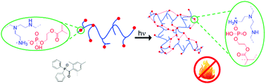 Graphical abstract: Polyelectrolyte photopolymer complexes for flame retardant wood