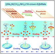 Graphical abstract: A ferroelastic molecular rotator [(Me2N(CH2)2NH3)(18-crown-6)]triflate with dual dielectric switches