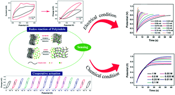 Graphical abstract: Conducting polymers as bio-mimetic multistep macromolecular sensors of working conditions: polyindole/polyvinyl alcohol hybrid film senses electrical and chemical working ambient