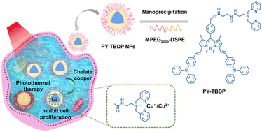 Graphical abstract: Copper depletion combined with photothermal therapy suppresses breast cancer