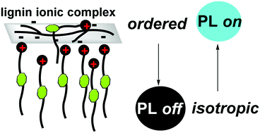 Graphical abstract: Fluorescent solvent-free lignin ionic complexes with thermostability toward a luminescent hydrophobic coating material