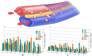 Graphical abstract: Particle-size-dependent biological distribution of gold nanoparticles after interstitial injection