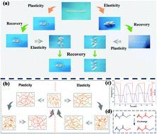 Graphical abstract: Intrinsic toughened conductive thermosetting epoxy resins: utilizing dynamic bond and electrical conductivity to access electric and thermal dual-driven shape memory