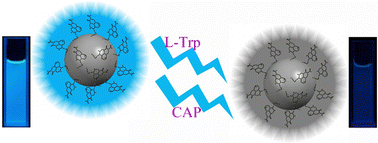 Graphical abstract: Cucurbit[6]uril-based carbon dots for recognizing l-tryptophan and capecitabine