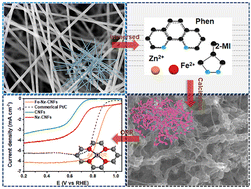 Graphical abstract: Single atom Fe-based catalyst derived from hierarchical (Fe,N)-ZIF-8/CNFs for high-efficient ORR activity