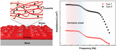 Graphical abstract: Molecular structure effects on the mechanisms of corrosion protection of model epoxy coatings on metals