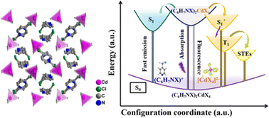 Graphical abstract: A synergetic model for implementing single-component white-light emission: a case study of zero-dimensional cadmium halides
