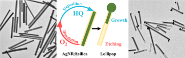 Graphical abstract: A facile route to Janus nanorods via redox-assisted ripening