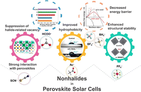 Graphical abstract: The nonhalides in perovskite solar cells