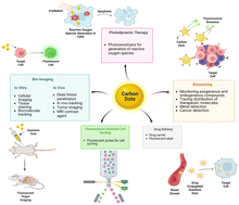 Graphical abstract: Carbon-based designer and programmable fluorescent quantum dots for targeted biological and biomedical applications