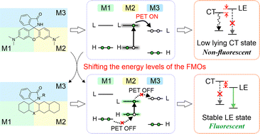 Graphical abstract: Molecular design of dual-emission rhodamine analogs