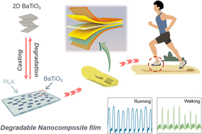 Graphical abstract: Degradable flexible piezoelectric nanogenerator based on two-dimensional barium titanate nanosheets and polylactic acid
