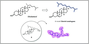 Graphical abstract: Development of novel Gemini-cholesterol analogues for retinoid-related orphan receptors