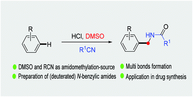Graphical abstract: Electrophilic amidomethylation of arenes with DMSO/MeCN reagents
