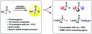 Graphical abstract: Resolution of aryl-H-phosphinates applied in the synthesis of P-stereogenic compounds including a Brønsted acid NMR solvating agent