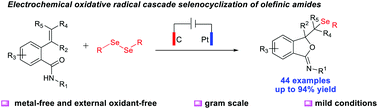 Graphical abstract: Electrochemical oxidative selenocyclization of olefinic amides towards the synthesis of iminoisobenzofurans