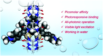 Graphical abstract: Photomodulation of ultrastable host–guest complexes in water and their application in light-controlled steroid release
