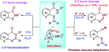 Graphical abstract: Metal-free and Selectfluor-mediated diverse transformations of 2-alkylthiobenzamides to access 2,3-dihydrobenzothiazin-4-ones, benzoisothiazol-3-ones and 2-alkylthiobenzonitriles