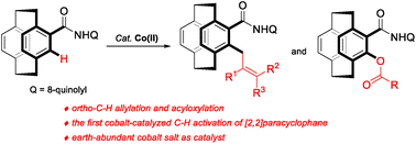 Graphical abstract: Modification of [2.2]paracyclophane through cobalt-catalyzed ortho-C–H allylation and acyloxylation