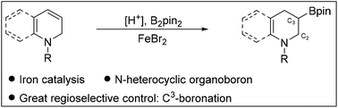 Graphical abstract: Iron-catalyzed regioselective protoboration of alkenes on N-heterocycles