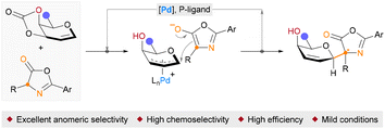 Graphical abstract: Palladium catalyzed decarboxylative β-C-glycosylation of glycals with oxazol-5-(4H)-ones as acceptors