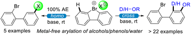 Graphical abstract: Metal-free homo-/cross-anion–cation coupling of cyclic diaryl λ3-bromanes