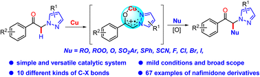 Graphical abstract: Copper-catalysed α-functionalization of ketones with nucleophiles: universal and efficient access to nafimidone derivatives