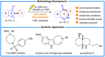 Graphical abstract: Photo-induced two-carbon ring expansion of N-alkenyl lactams and N-alkenyl/phenyl benzoazetinones