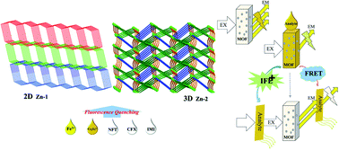 Graphical abstract: Two bis-ligand-coordinated Zn(ii)-MOFs for luminescent sensing of ions, antibiotics and pesticides in aqueous solutions