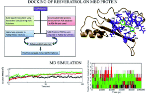 Graphical abstract: In silico prediction and interaction of resveratrol on methyl-CpG binding proteins by molecular docking and MD simulations study