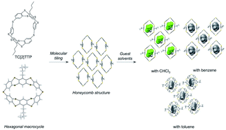 Graphical abstract: Synthesis and crystal structure of a sulphur-bridged molecular hoop consisting of 5,7,12,14-tetrathiapentacene