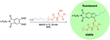 Graphical abstract: Three-component assembly of stabilized fluorescent isoindoles