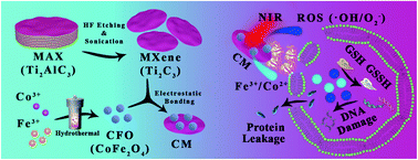 Graphical abstract: Multi-activity cobalt ferrite/MXene nanoenzymes for drug-free phototherapy in bacterial infection treatment