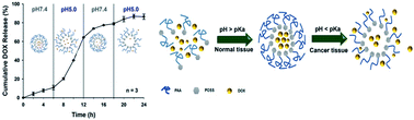 Graphical abstract: Targeted drug release system based on pH-responsive PAA-POSS nanoparticles