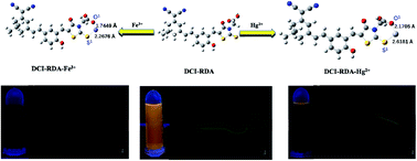 Graphical abstract: A reasonably constructed fluorescent chemosensor based on the dicyanoisophorone skeleton for the discriminative sensing of Fe3+ and Hg2+ as well as imaging in HeLa cells and zebrafish